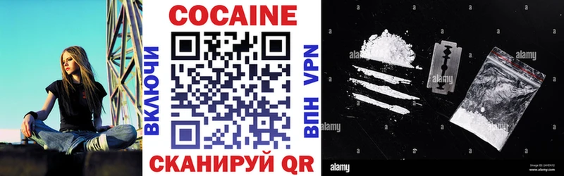 купить Новосиль COCAIN Fish Scale