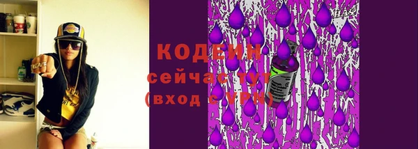 МДПВ Беслан